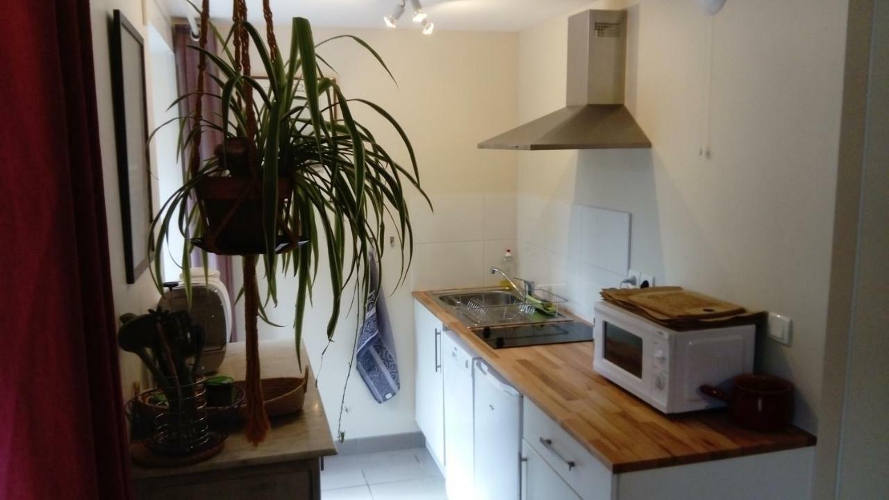 Chez Yann Et Valerie Apartment ปง-ตาเวน ภายนอก รูปภาพ